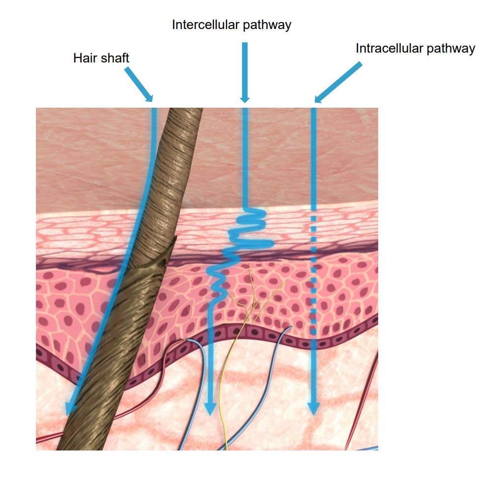 Graphic 1