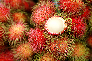 teaser_rambutan