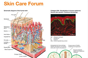 scf_poster